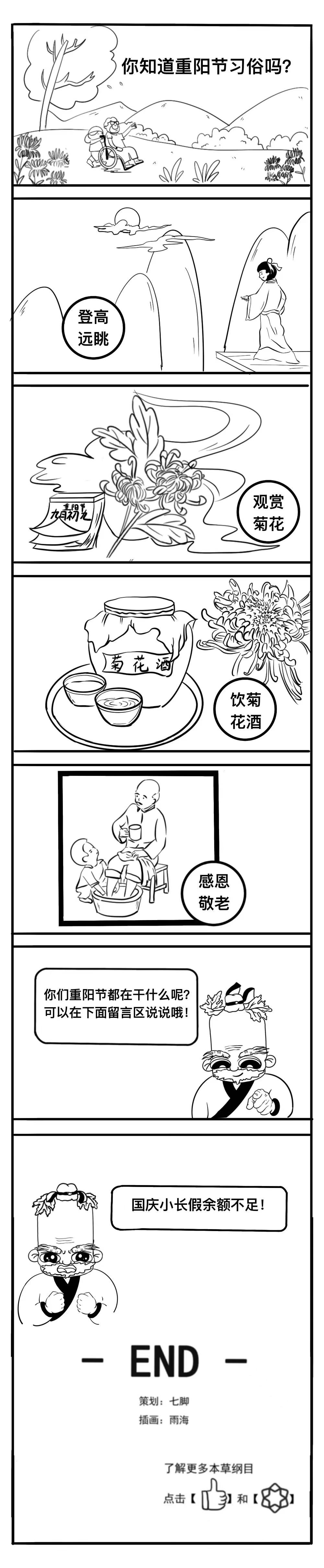 重阳时节遇寒露赏菊登高敬老